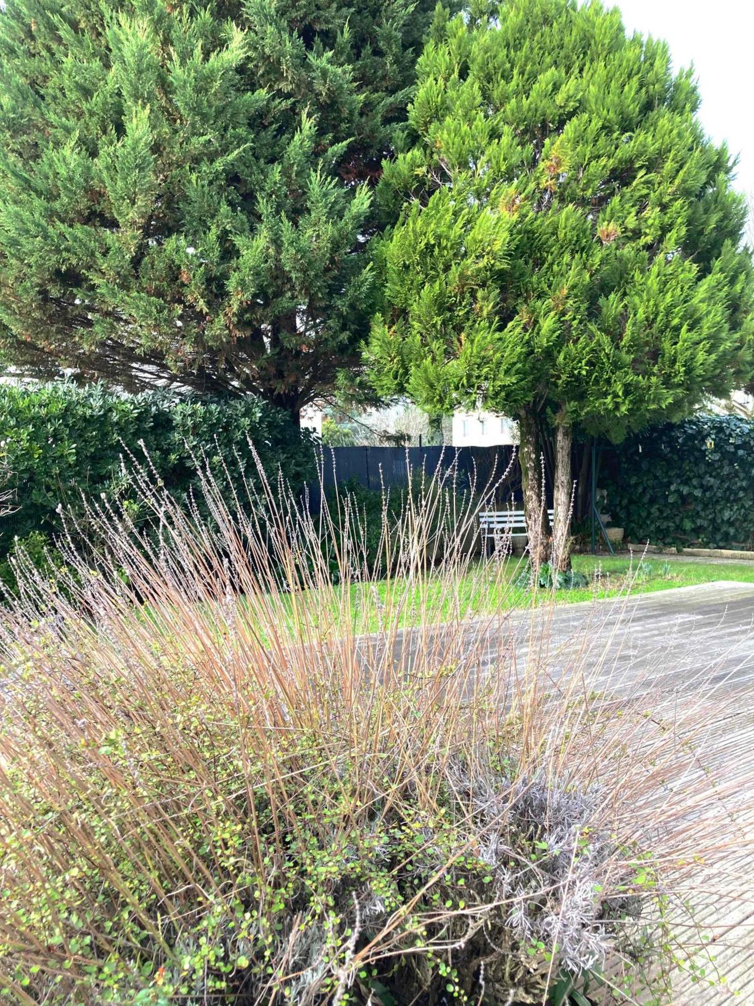 Maison Centre Ville Avec Jardin , Terrasse, Et Garage Velos La Rochelle  Luaran gambar