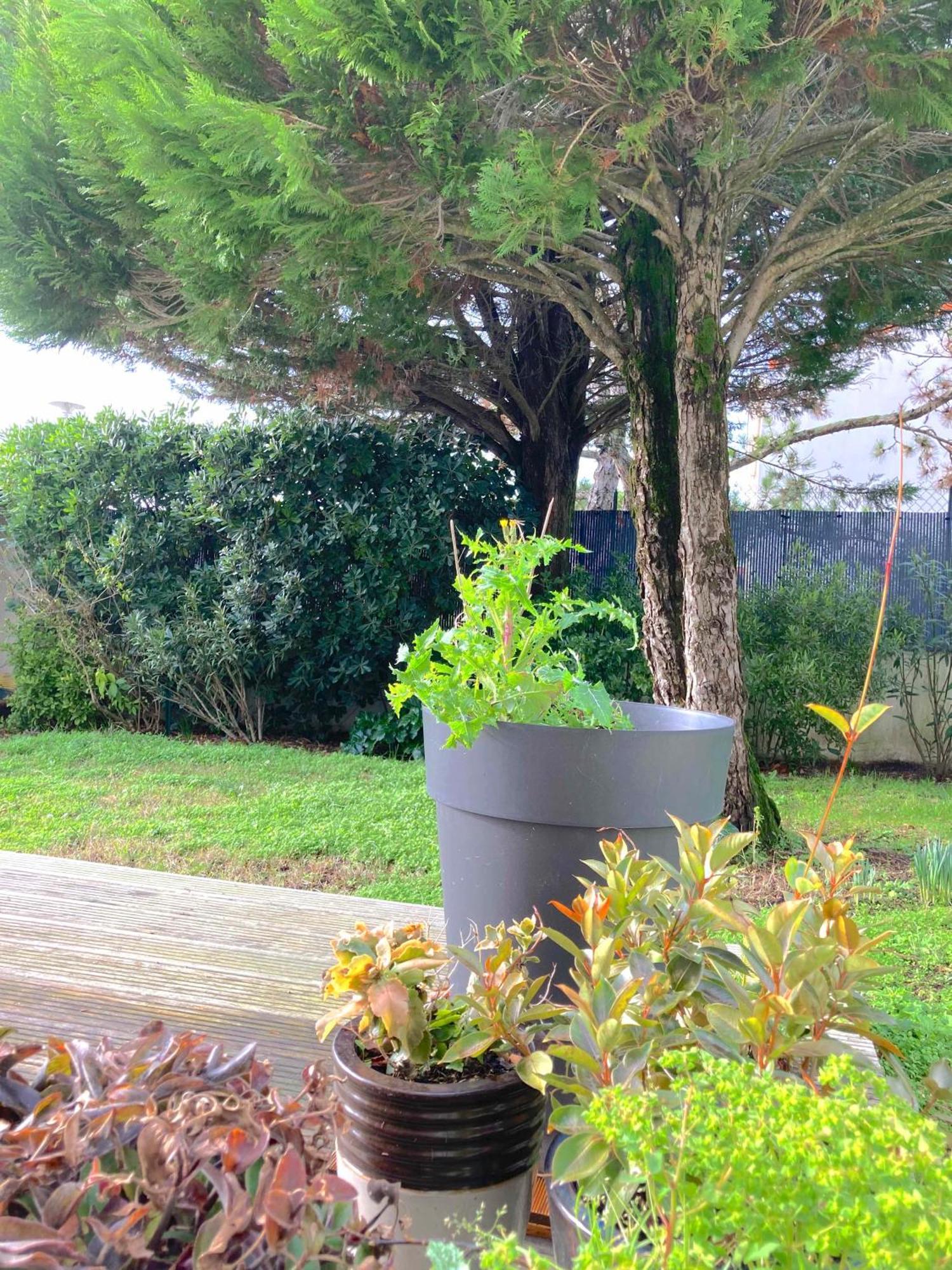 Maison Centre Ville Avec Jardin , Terrasse, Et Garage Velos La Rochelle  Luaran gambar